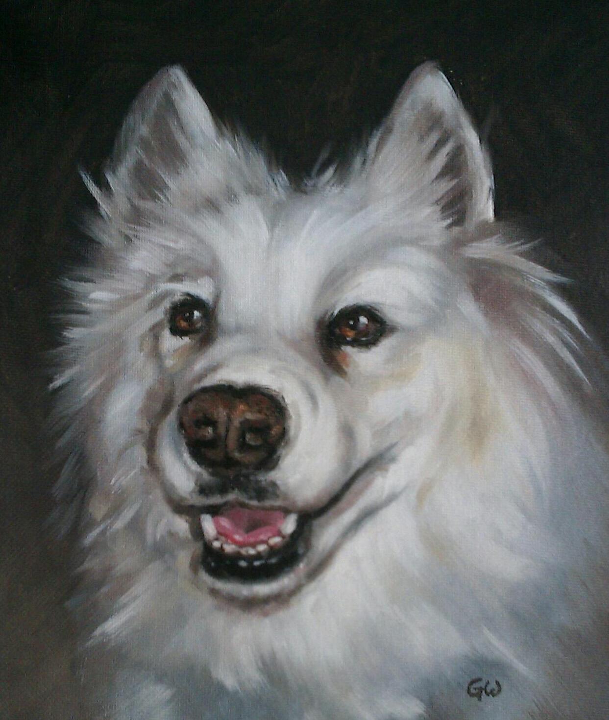 Dog Portraits UK, pet portraits, Glossop, Derbyshire,